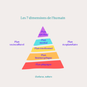 Pyramide sur les 7 dimensions de l'humain